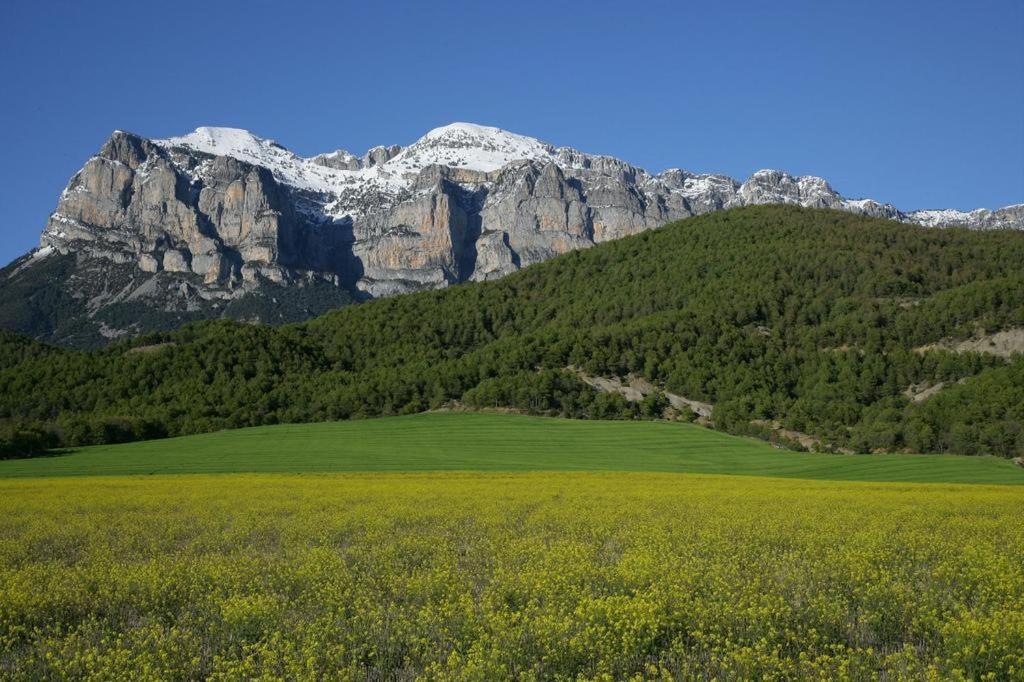 ホテル Hostal Pirineos アインサ エクステリア 写真