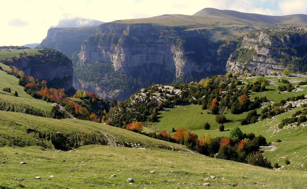 ホテル Hostal Pirineos アインサ エクステリア 写真